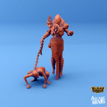 Load image into Gallery viewer, The Cuthari Flayers