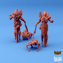 Load image into Gallery viewer, The Cuthari Flayers