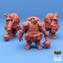 Load image into Gallery viewer, Carren Pirates