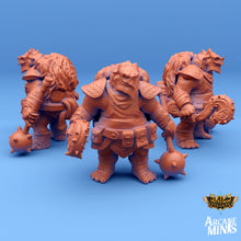 Load image into Gallery viewer, Carren Pirates