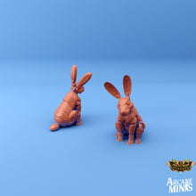 Load image into Gallery viewer, Mechanimals Bunny