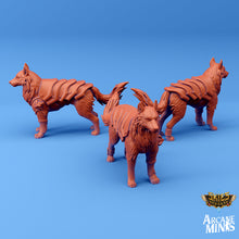 Load image into Gallery viewer, Deckhands - Pack 3