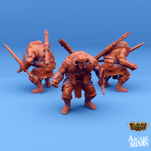 Load image into Gallery viewer, Carren Pirates