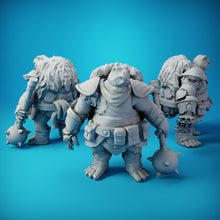 Load image into Gallery viewer, Carren Pirate Kestudo Barbarian
